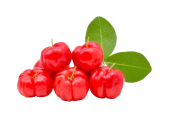 Acerola Cherry (Vitamin C)
