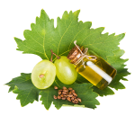 Grape Seed Extract